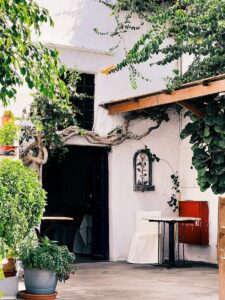 a patio area with potted plants and a table